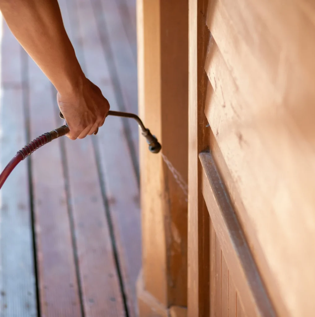 Trusted Pest Control - Manchester Pest Control Pros | Manchester, NJ | 551-373-7550